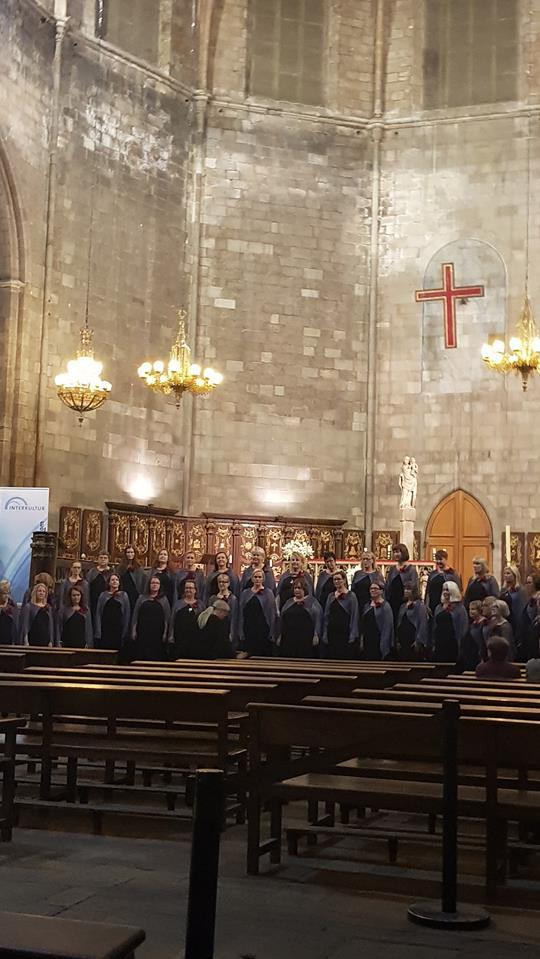 44943335_10156756766172232_2768660674916646912_n